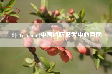西安中国消防报考中心官网