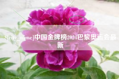西安中国金牌榜2024巴黎奥运会最新