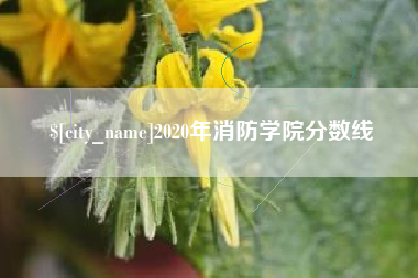 西安2020年消防学院分数线