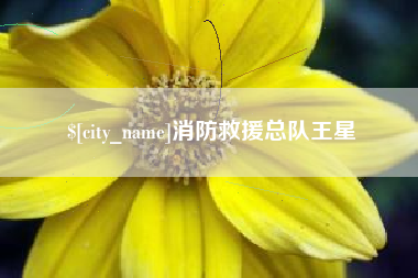 西安消防救援总队王星