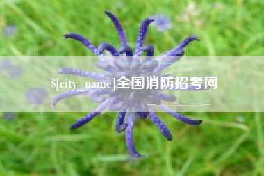 西安全国消防招考网