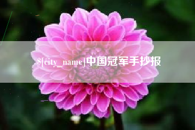 西安中国冠军手抄报