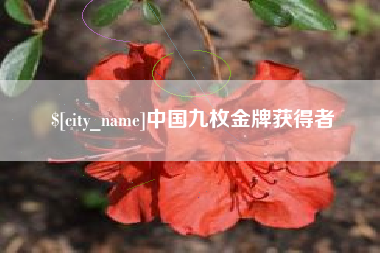 西安中国九枚金牌获得者
