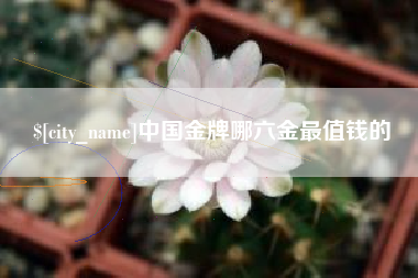 西安中国金牌哪六金最值钱的