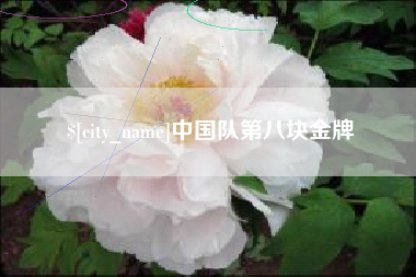 西安中国队第八块金牌