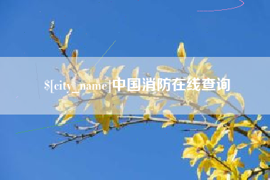 西安中国消防在线查询