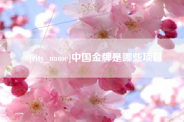 西安中国金牌是哪些项目
