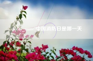 西安中国消防日是哪一天