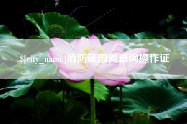 西安消防证国网查询操作证