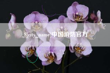 西安中国消防官方