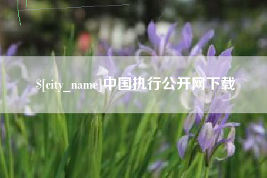 西安中国执行公开网下载