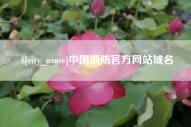 西安中国消防官方网站域名