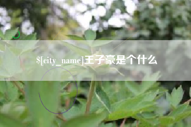 西安王子豪是个什么