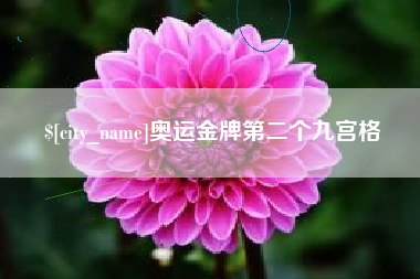 西安奥运金牌第二个九宫格
