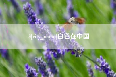 西安白色在中国