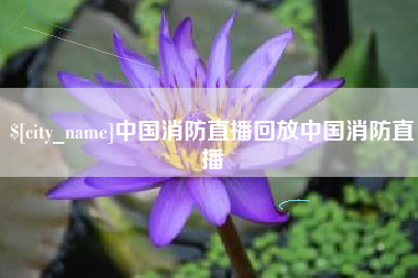 西安中国消防直播回放中国消防直播