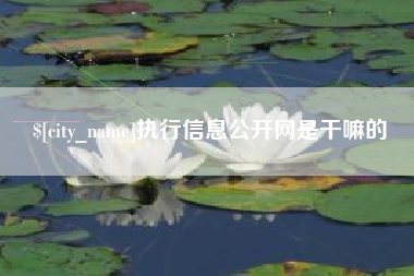 西安执行信息公开网是干嘛的