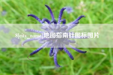 西安地图指南针图标图片