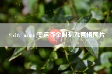 西安奥运夺金时刻九宫格图片