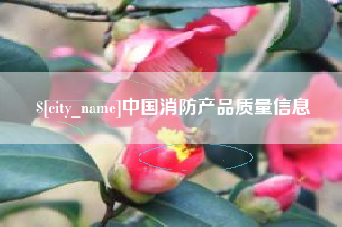西安中国消防产品质量信息
