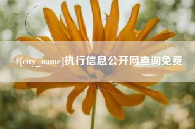 西安执行信息公开网查询免费