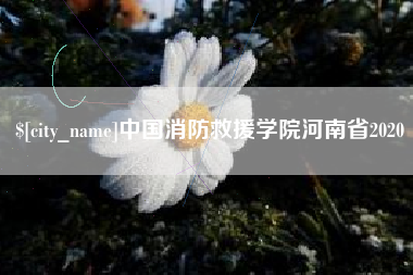 西安中国消防救援学院河南省2020