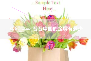 西安看看中国的金牌有多少